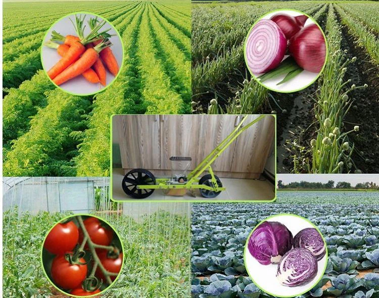 best selling small vegetable seeder(001) best selling small vegetable seeder(001)